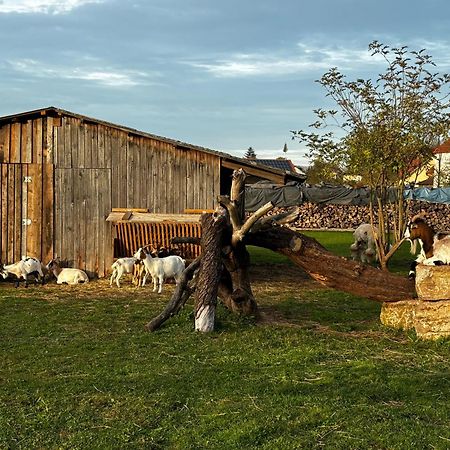 Ferienwohnung Peters Hünfeld エクステリア 写真