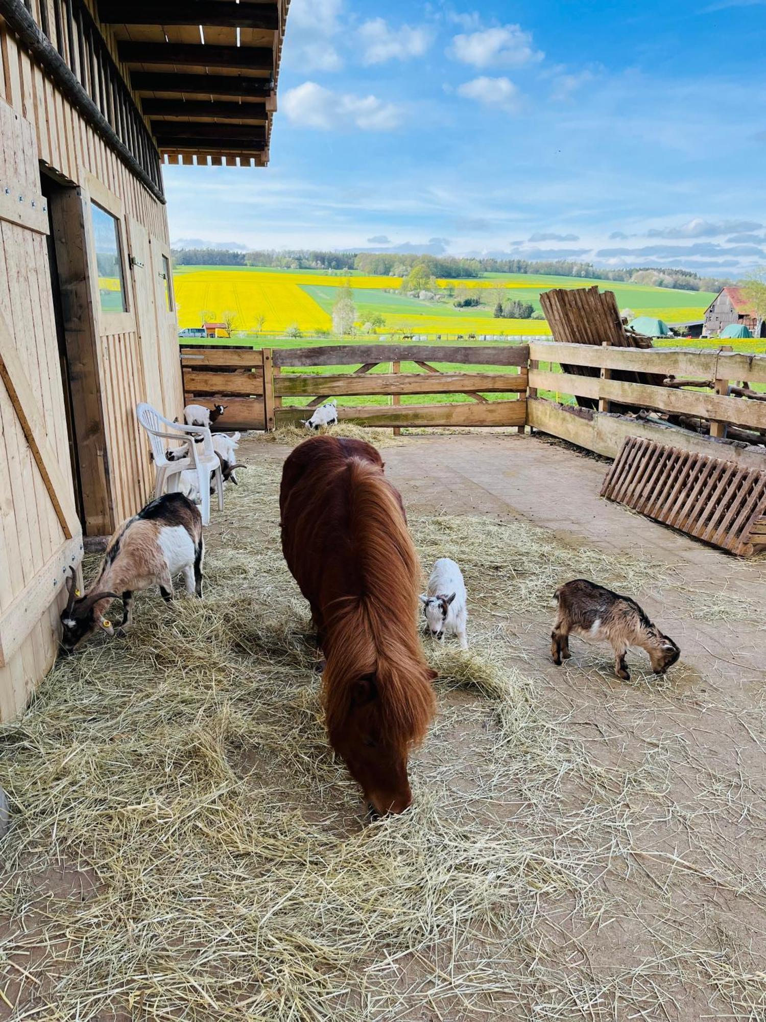 Ferienwohnung Peters Hünfeld エクステリア 写真