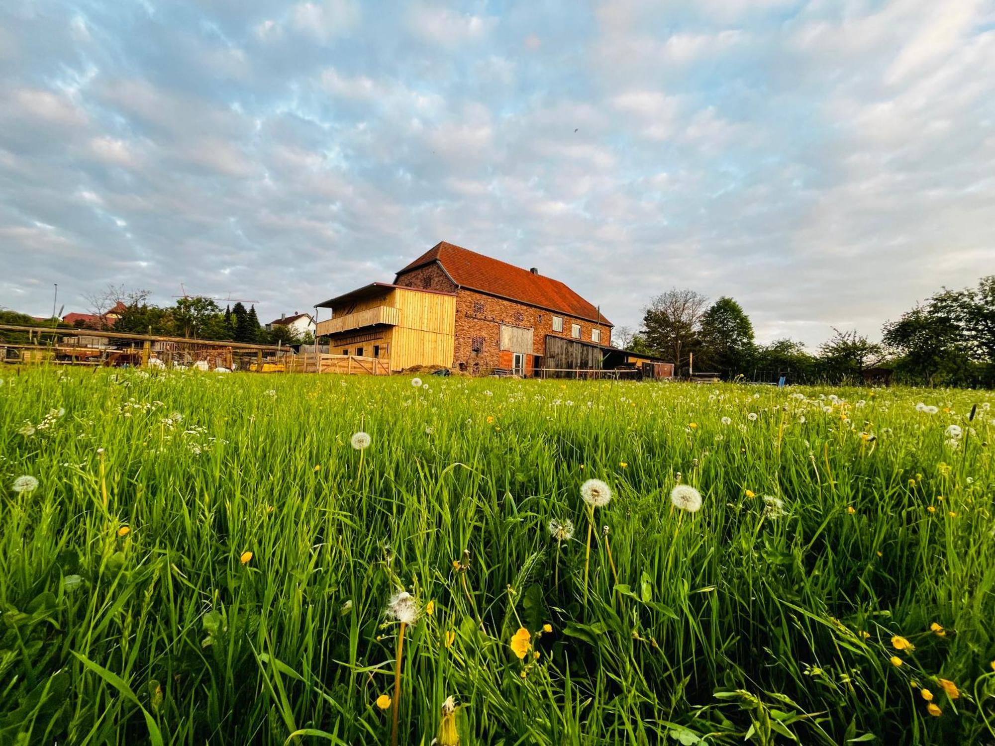 Ferienwohnung Peters Hünfeld エクステリア 写真