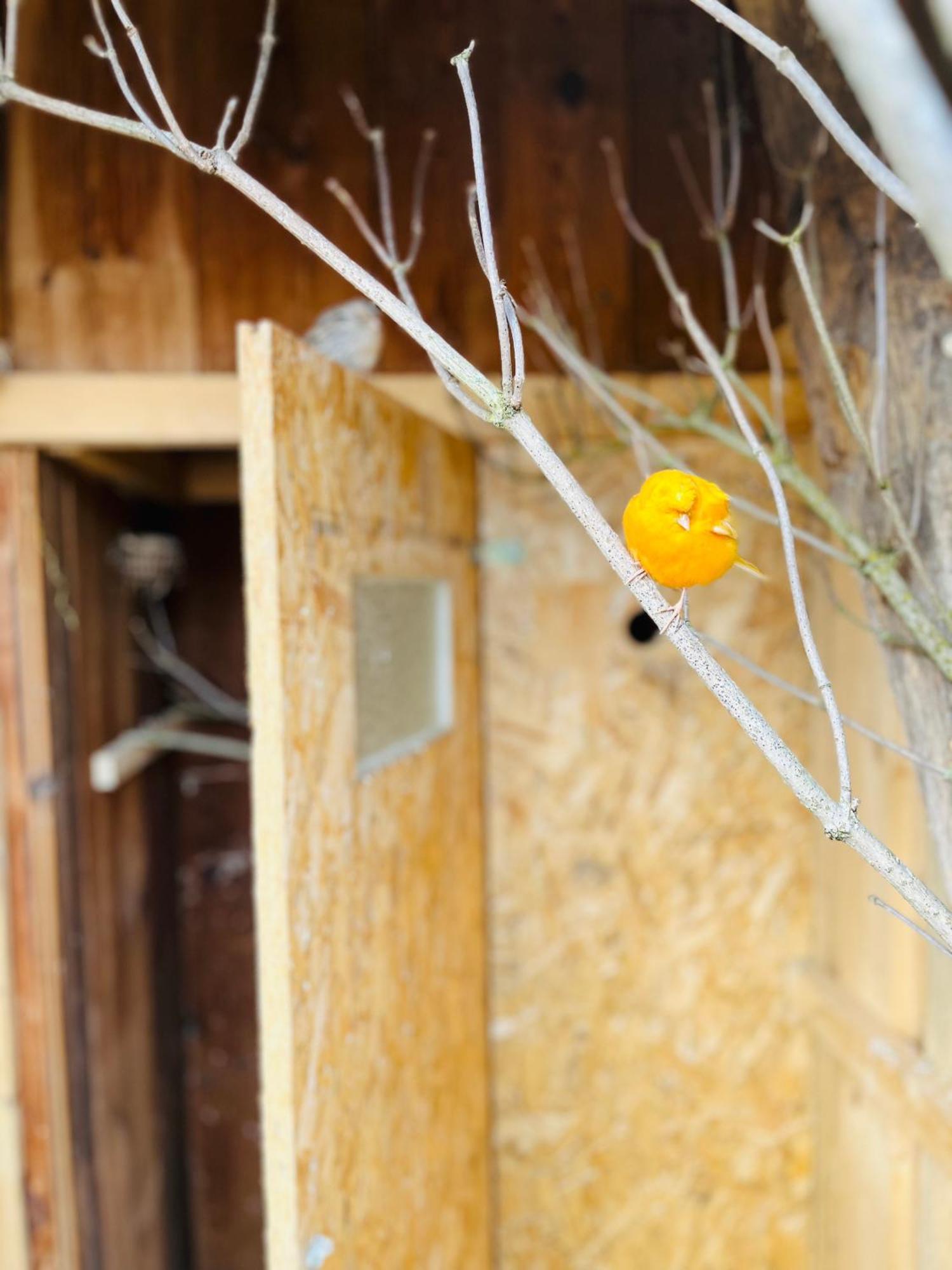 Ferienwohnung Peters Hünfeld エクステリア 写真