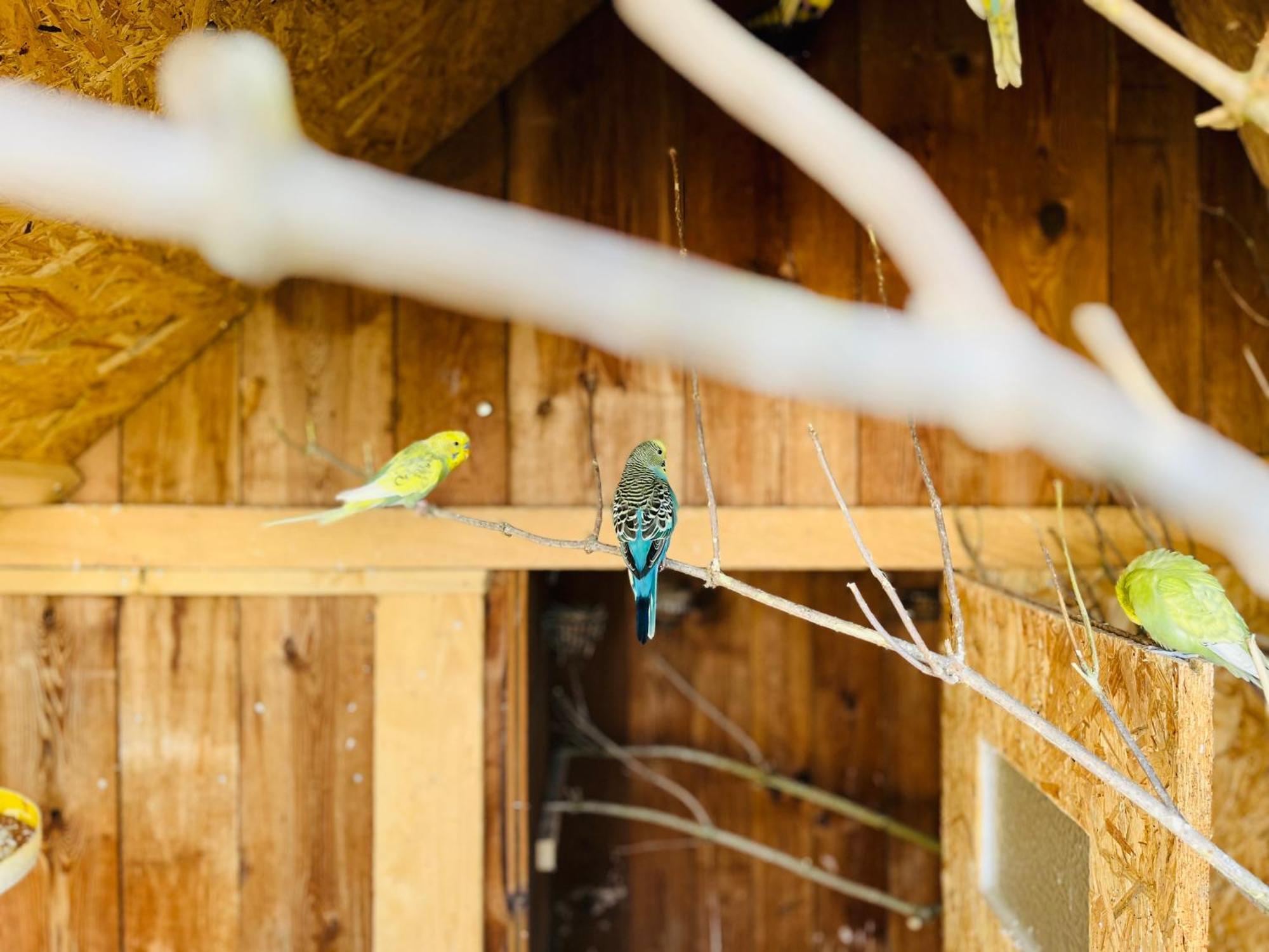 Ferienwohnung Peters Hünfeld エクステリア 写真